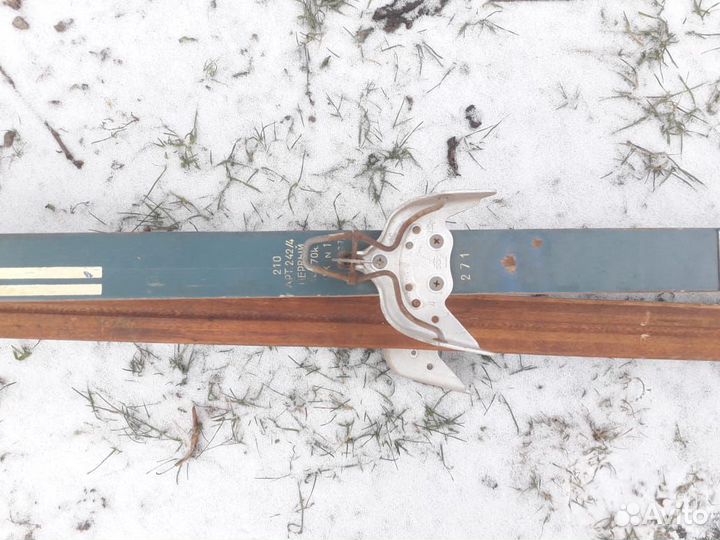 Лыжи деревянные спортивно-беговые СССР, Таллин