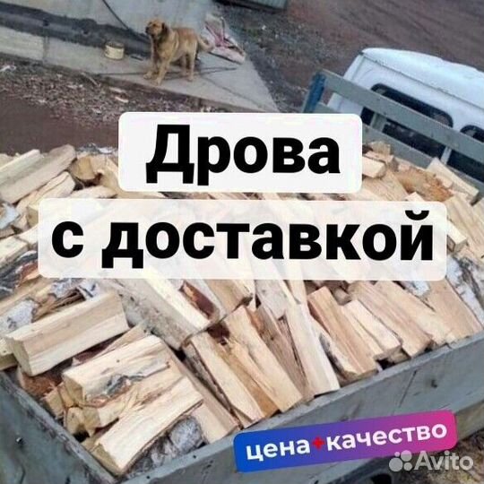 Дрова колотые