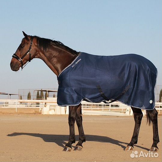 Антимоскитная попона для лошади
