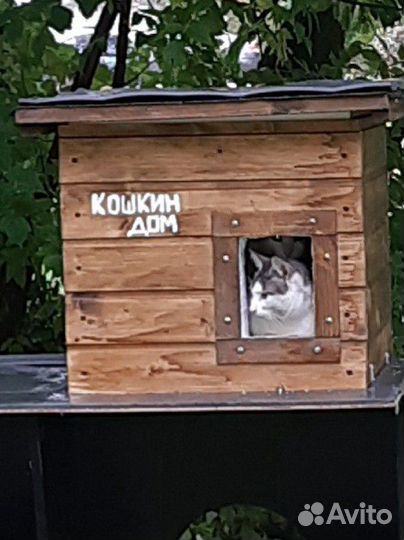 Домик для кошки или собаки уличный утепленный