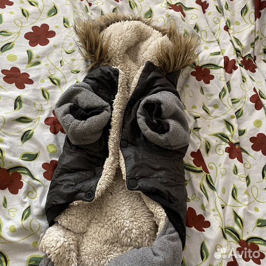 Куртка для собак