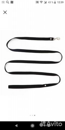 Ошейник, миски с лотком