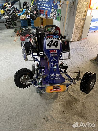 Картинг с мотором Rotax max
