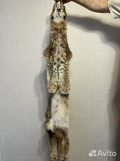 Шкура. Рысь. Имитация