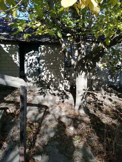 Дом 60 м² на участке 20 сот.