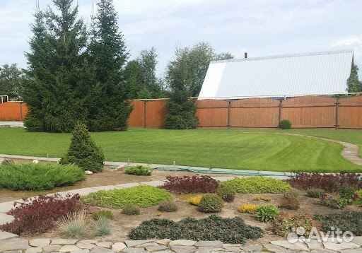 Укладка и продажа рулонного газона