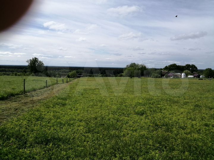 Участок 60 сот. (ИЖС)