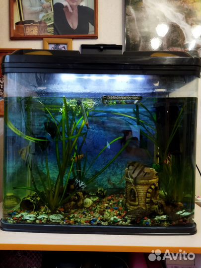 Аквариум на 80 литров