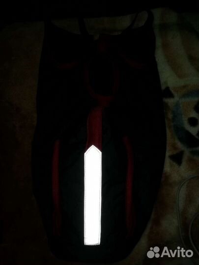 Попона для собаки