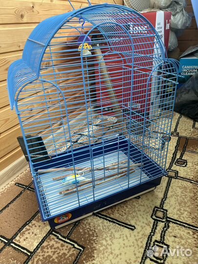Клетка для крупного попугая