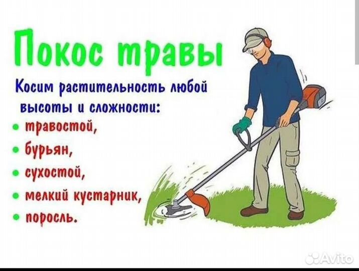 Сад благоустройство