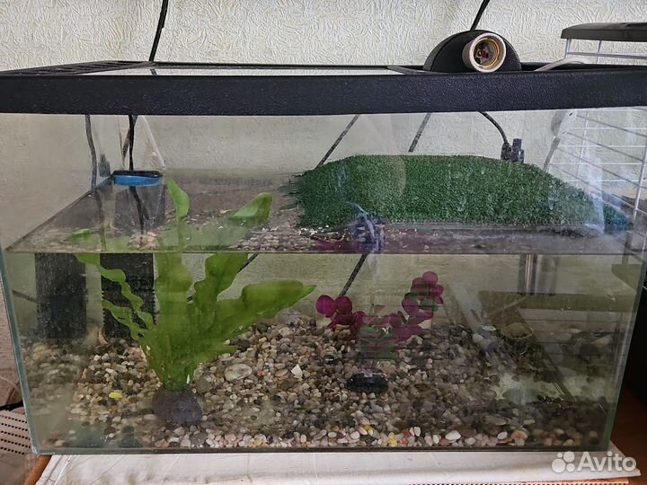 Аквариум-Террариум Gold fish 50 л для черепахи