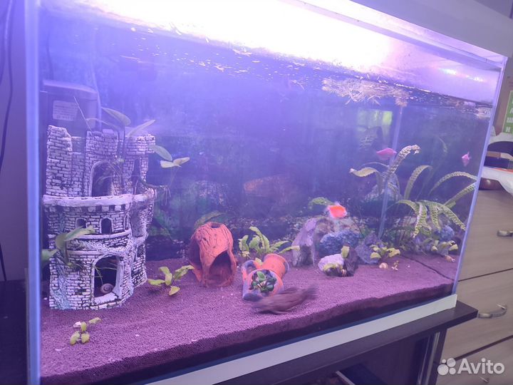 Аквариум 110л