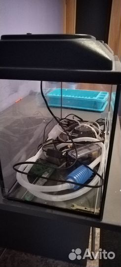 Аквариум