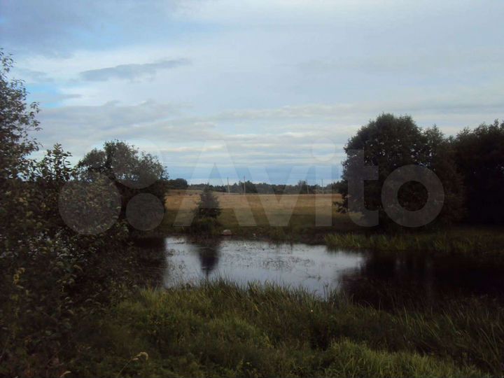 Участок 2,15 га (ИЖС)