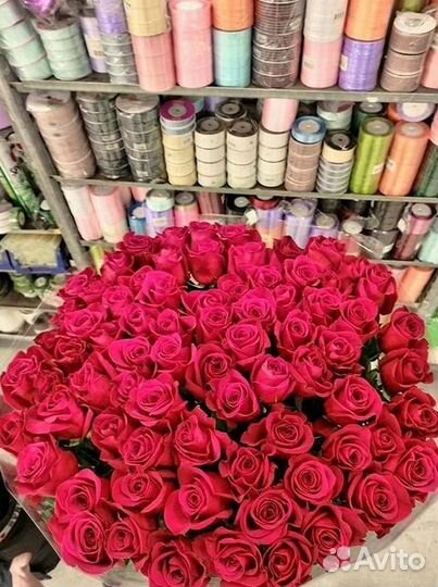 101 роза цветы букеты доставка 25 51 101 роза