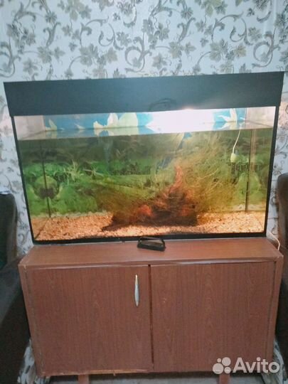 Аквариум 140 литров