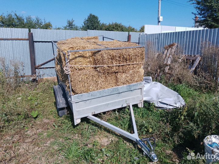 Сено солома