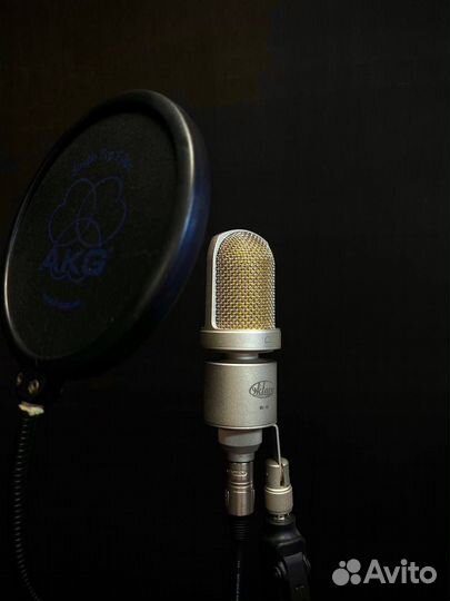 Студия звукозаписи Garden records