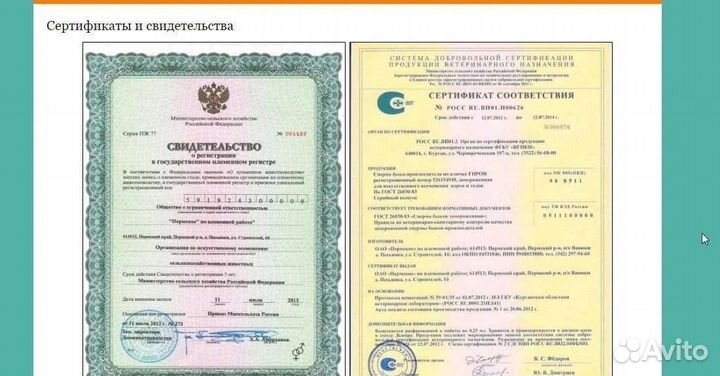 Уход за животными