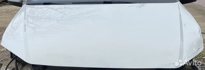 Volkswagen polo капот