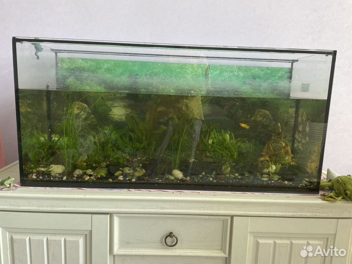 Аквариум