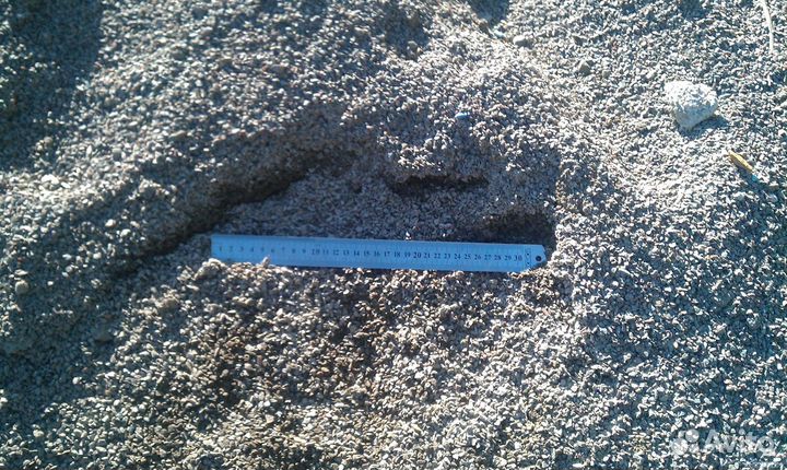 Отсев гравийный