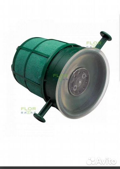 Флористический оазис