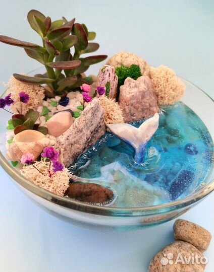Флорариум, подарки, сувениры, растения