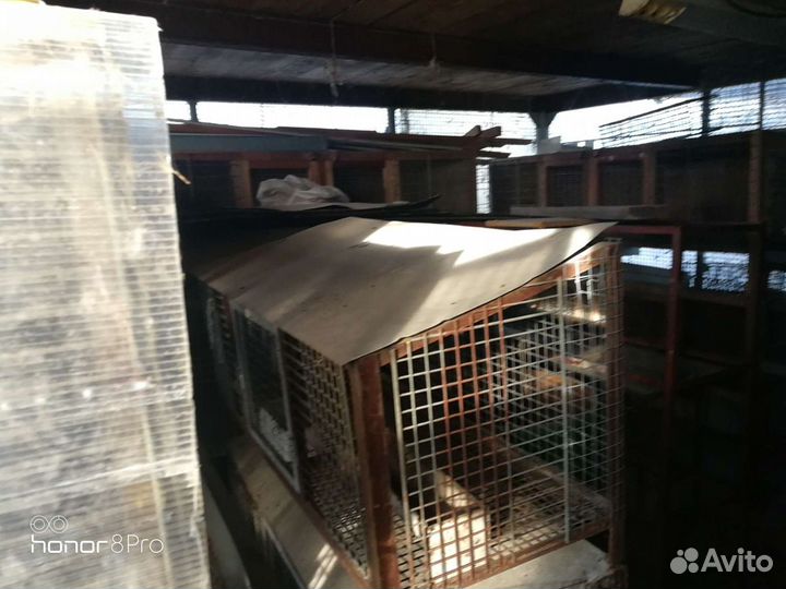 Клетки для кроликов и нутрий