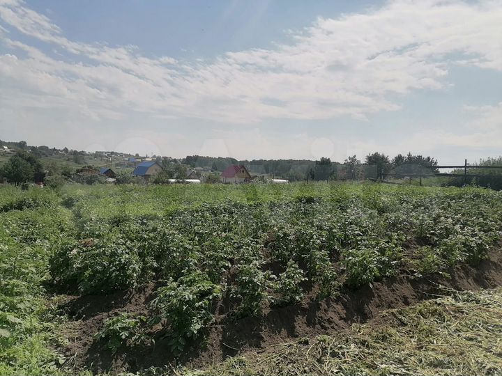 Участок 12 сот. (СНТ, ДНП)