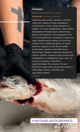 Форель охлаждённая