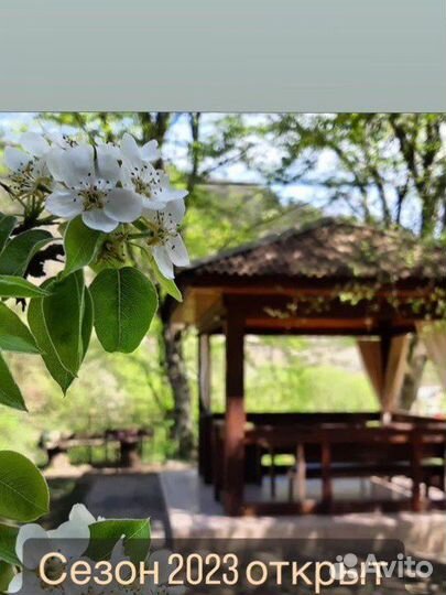 Аренда беседки на белой речке сезон открыт