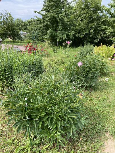 Дом 228 м² на участке 12 сот.