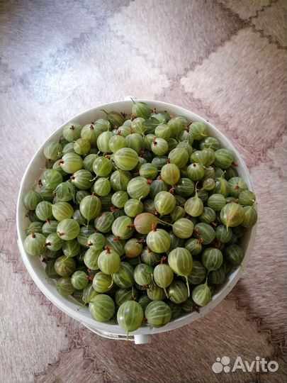 Крыжовник ягоды