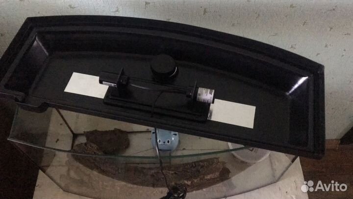 Террариум для рептилий