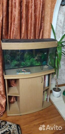 Аквариум