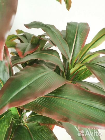 Пальма искусственнре дерево в кашпо 170см