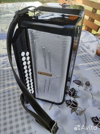 Гармонь Беларусь, обслужена