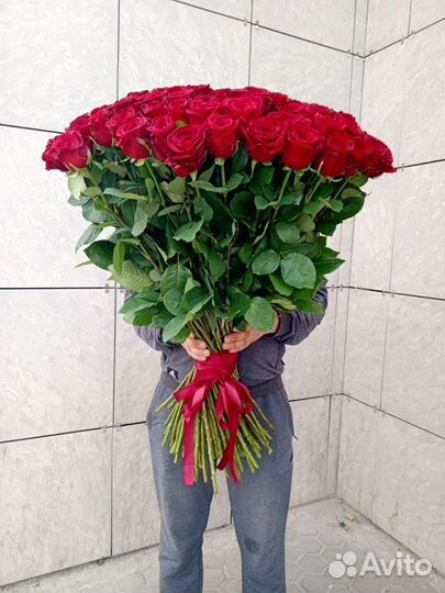 Розы 25,51,101,201,501,1001 доставка