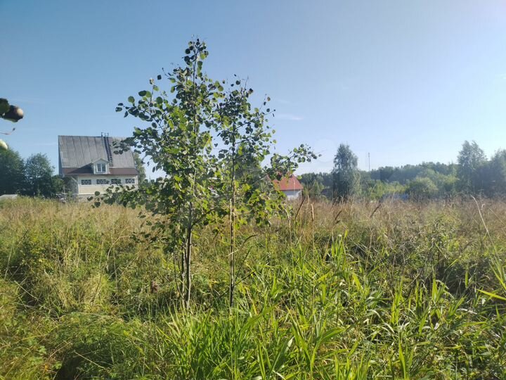 Участок 20 сот. (ИЖС)