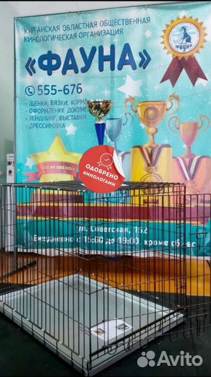 Клетка для собаки поддон металл