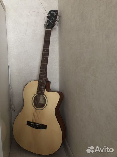 Акустическая гитара cort