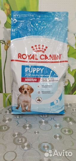 Сухой корм для собак