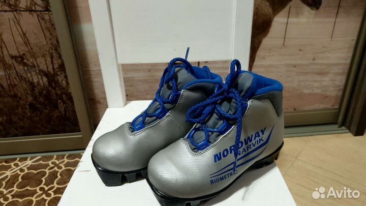 Лыжные ботинки