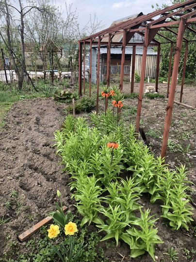 Дача 30 м² на участке 6 сот.