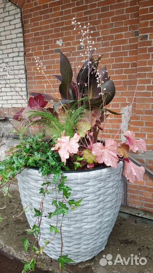 Озеленение террас, балконов