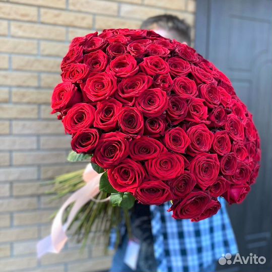 101 роза цветы букеты доставка 25 51 101 роза