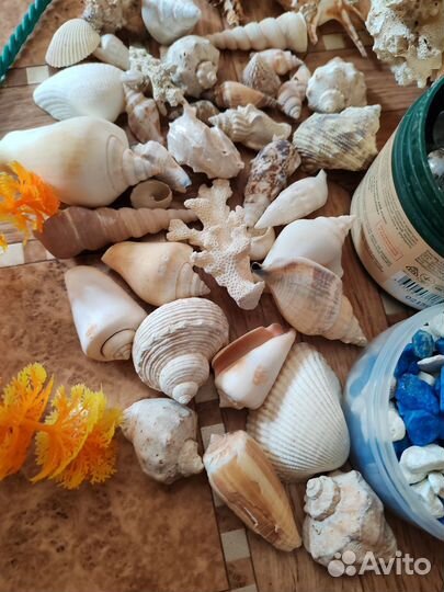 Набор для аквариума