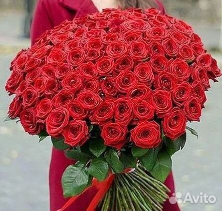Высокие Розы с Доставкой